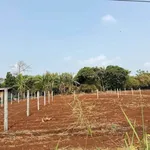 Bán đất hẻm cấp 1 Thủ Khoa Huân 120m² 2.65 tỷ - Ảnh thu nhỏ 2