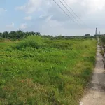 Bán đất 1000m2 gần chợ Tầm Vu, Hồ Chí Minh - Ảnh thu nhỏ 3