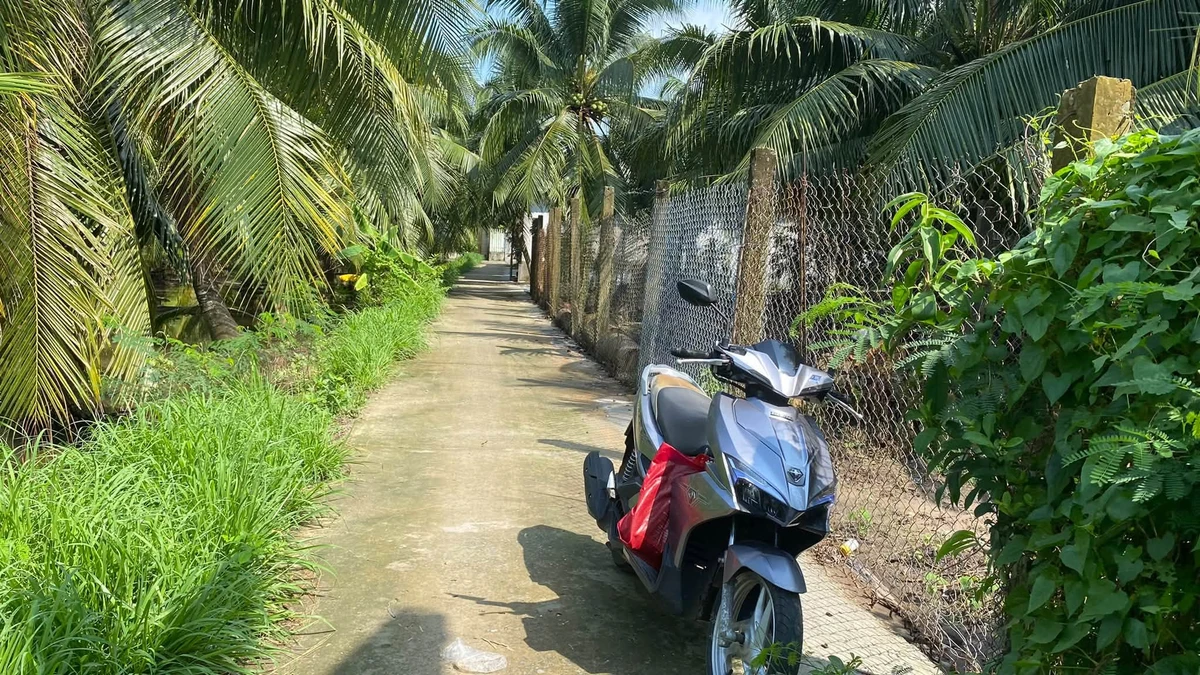 Bán nền 147m2 tại Xã Phú Hưng, TP Bến Tre - Ảnh 1