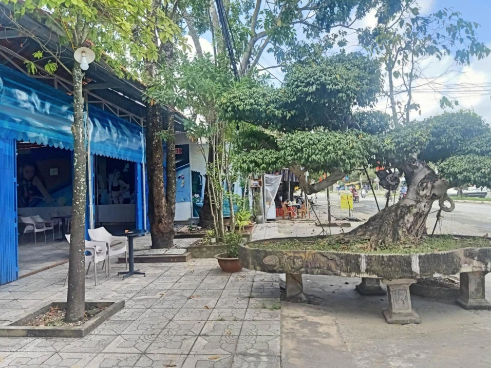 Bán gấp mặt đường Quản Lộ Phụng Hiệp, Tân Thành, Cà Mau, 8898m, ngang 69m, chỉ 29 tỷ - Ảnh thu nhỏ 3