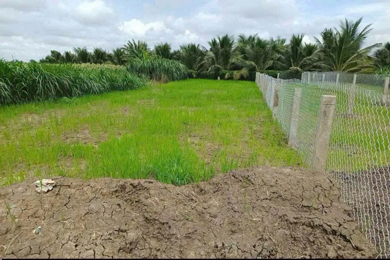Bán 2 lô đất mặt tiền kênh N7, Tiền Giang, 158m²