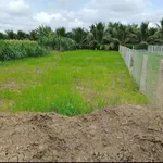 Bán 2 lô đất mặt tiền kênh N7, Tiền Giang, 158m² - Ảnh thu nhỏ 1
