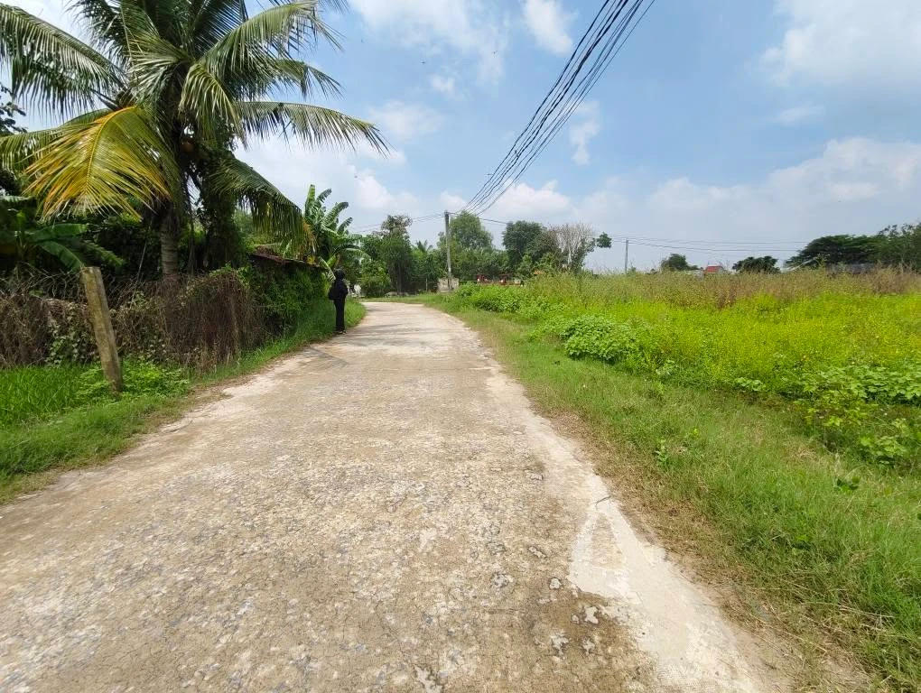 Bán đất thổ cư 5x26m SHR giá 800 triệu tại Mỹ Hạnh Nam, Đức Hòa, Long An - Ảnh thu nhỏ 3