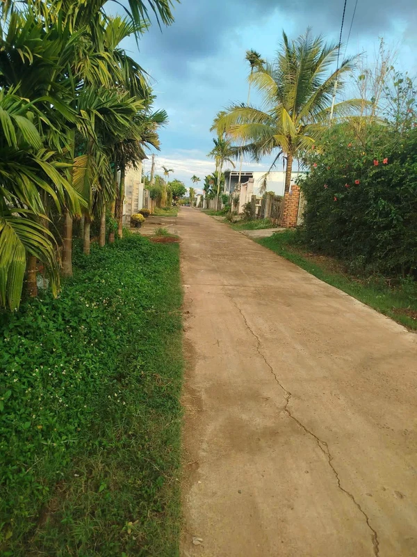 Bán đất TĐC Phú Chánh 300m² Phường Phú Tân cong2026