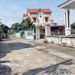 Bán đất Thôn Tân Thắng mặt tiền 6m, 214m² Hải Dương - Ảnh thu nhỏ 1