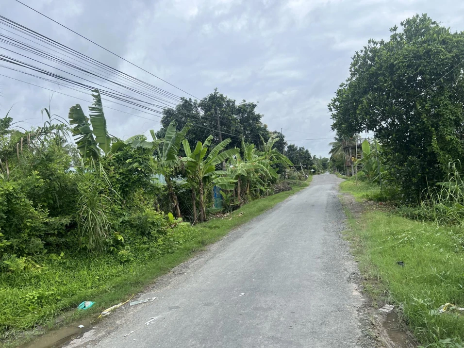 Ngân hàng thanh lý lô đất 1.442m2 tại Ngãi Tứ, Tam Bình, Vĩnh Long - Ảnh thu nhỏ 3