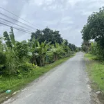 Ngân hàng thanh lý lô đất 1.442m2 tại Ngãi Tứ, Tam Bình, Vĩnh Long - Ảnh thu nhỏ 3