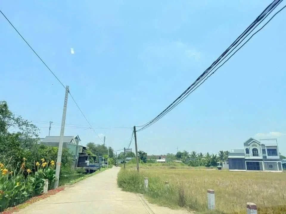 Bán 1000m² đất lúa chuyển đổi thổ cư Bến Lức, Long An - Ảnh thu nhỏ 3