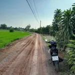 Bán đất Châu Thành Tây Ninh 340m² có thổ cư - Ảnh thu nhỏ 3