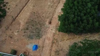 Bán đất tại Vinh Hưng, 900 triệu, 255m2, Chính chủ - Ảnh thu nhỏ 5
