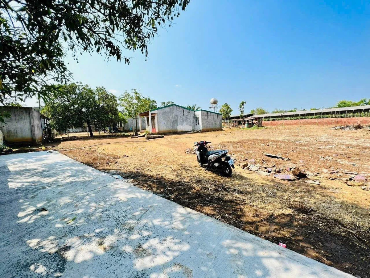 Bán 2 lô đất Buôn Đôn 228m² sổ riêng 290 triệu - Ảnh thu nhỏ 2