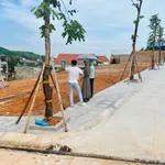 Bán đất nền 75m2 Đại Yên Hạ Long Xanh 2,6 tỷ - Ảnh thu nhỏ 4