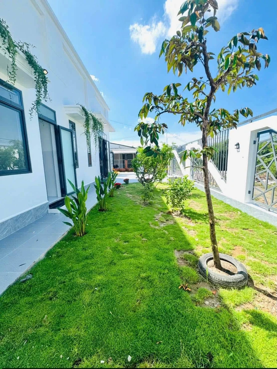 Bán nhà sân vườn 225m² 3PN Tây Ninh - Ảnh thu nhỏ 5