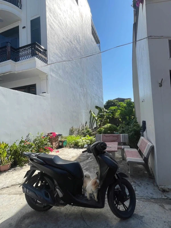 Bán lô đất 82m2 Phường Tứ Minh Hải Phòng 1 tỷ 8