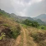Bán lô đất rừng sản xuất hơn 10 ha Tân Sơn Phú Thọ - Ảnh thu nhỏ 4