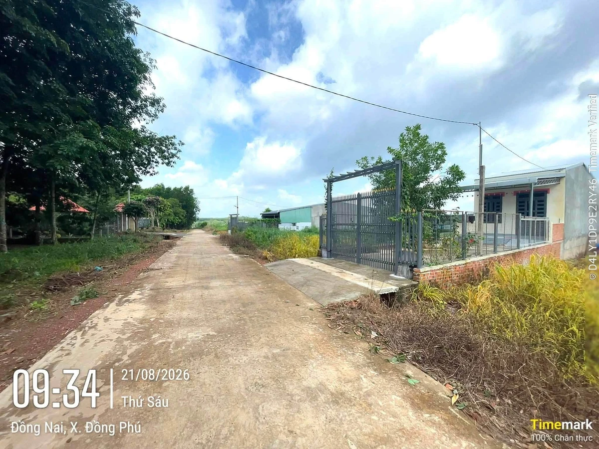 Bán đất nền thổ cư 200m² giá 450 triệu Đồng Phú - Ảnh thu nhỏ 2