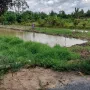 Bán đất 24m dài 60m phường Mỹ Trà - Ảnh thu nhỏ 4