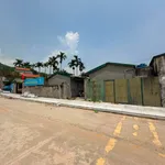 Bán đất 1300m2 gần Hạ Long Xanh, 3 tỷ - Ảnh thu nhỏ 4