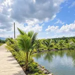 Bán đất vườn 1 sào có 200m² thổ cư, mặt tiền 35m tại Long Khánh, Đồng Nai - Ảnh thu nhỏ 2