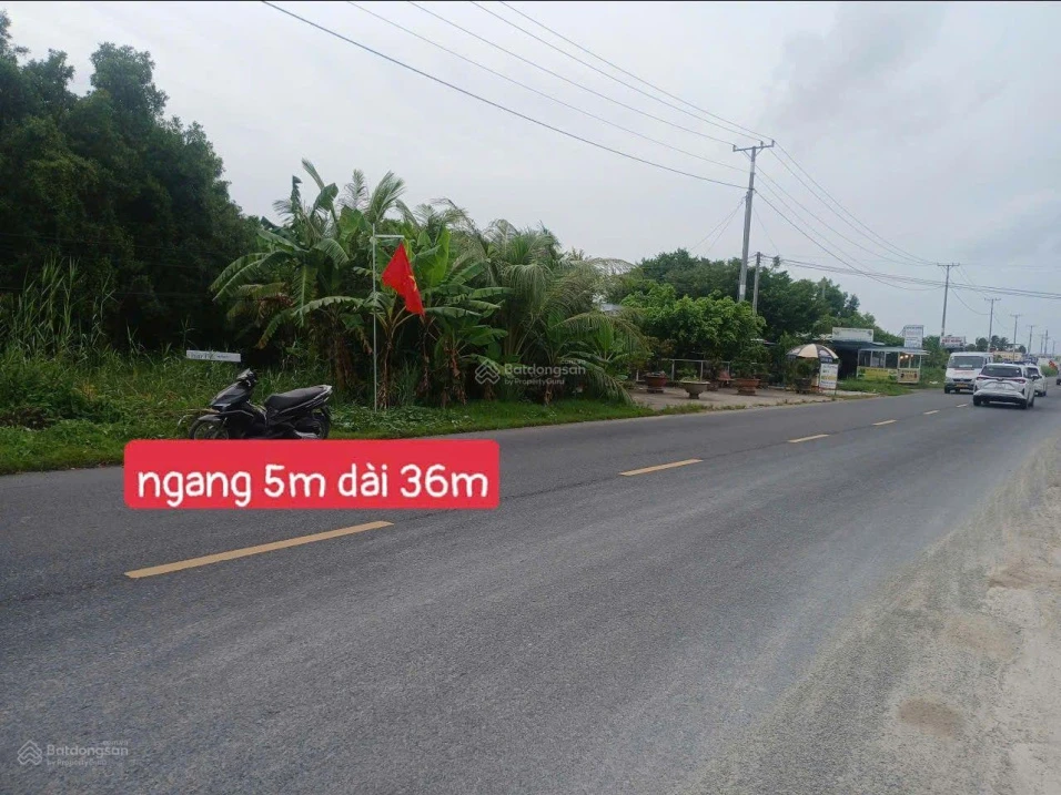 Bán đất tại Quốc lộ 1A, Hưng Mỹ, Cái Nước, Cà Mau, 799 triệu, 160.4 m2, Hot - Ảnh thu nhỏ 5