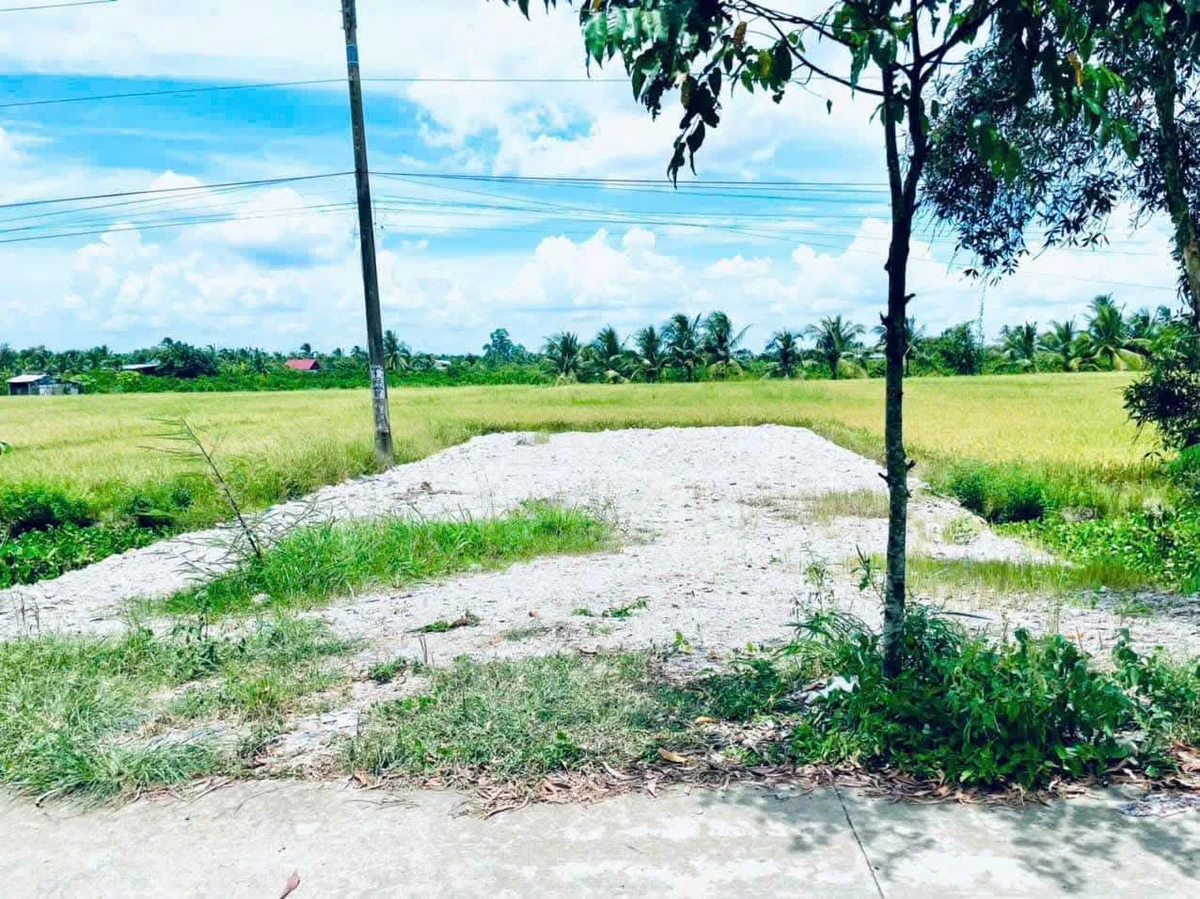Bán lô thổ cư 125m² mặt tiền Bến Lức Long An 950 triệu - Ảnh thu nhỏ 5