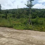 Bán đất view núi 500m² Suối Đá Phú Quốc 2 tỷ - Ảnh thu nhỏ 3