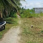 Bán đất làm nhà vườn 630m² Bình Chánh 850 triệu - Ảnh thu nhỏ 2