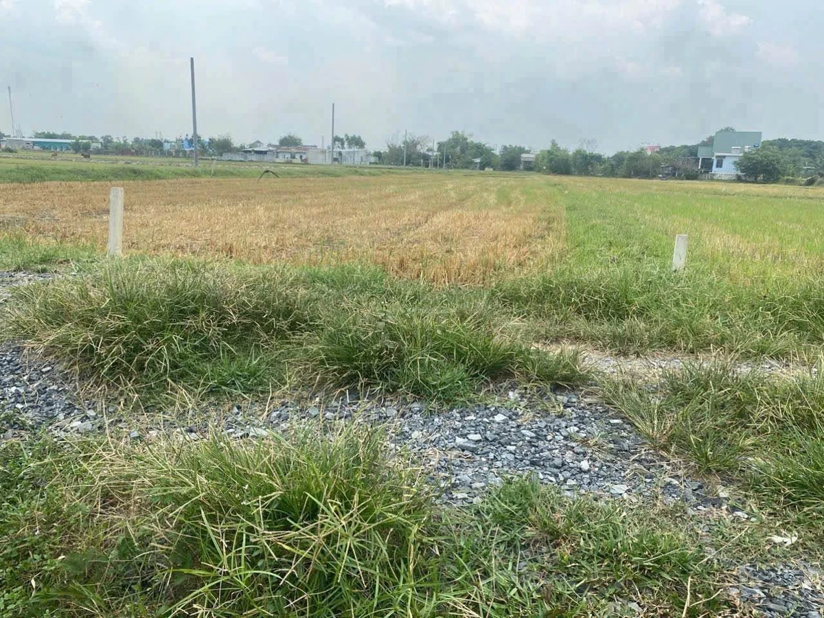 Bán lô đất thổ cư 5x25m Đức Hòa Thượng Long An - Ảnh thu nhỏ 2