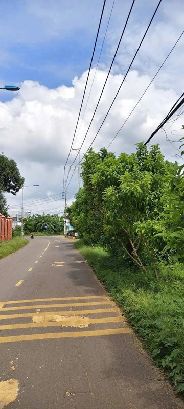 Bán đất mặt tiền Điều Xiểu Long Khánh 200m² 1 tỷ 900