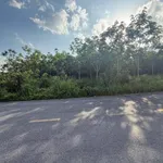 Bán nhà mái Thái 500m2 mặt tiền QL13 Bàu Bàng - Ảnh thu nhỏ 2