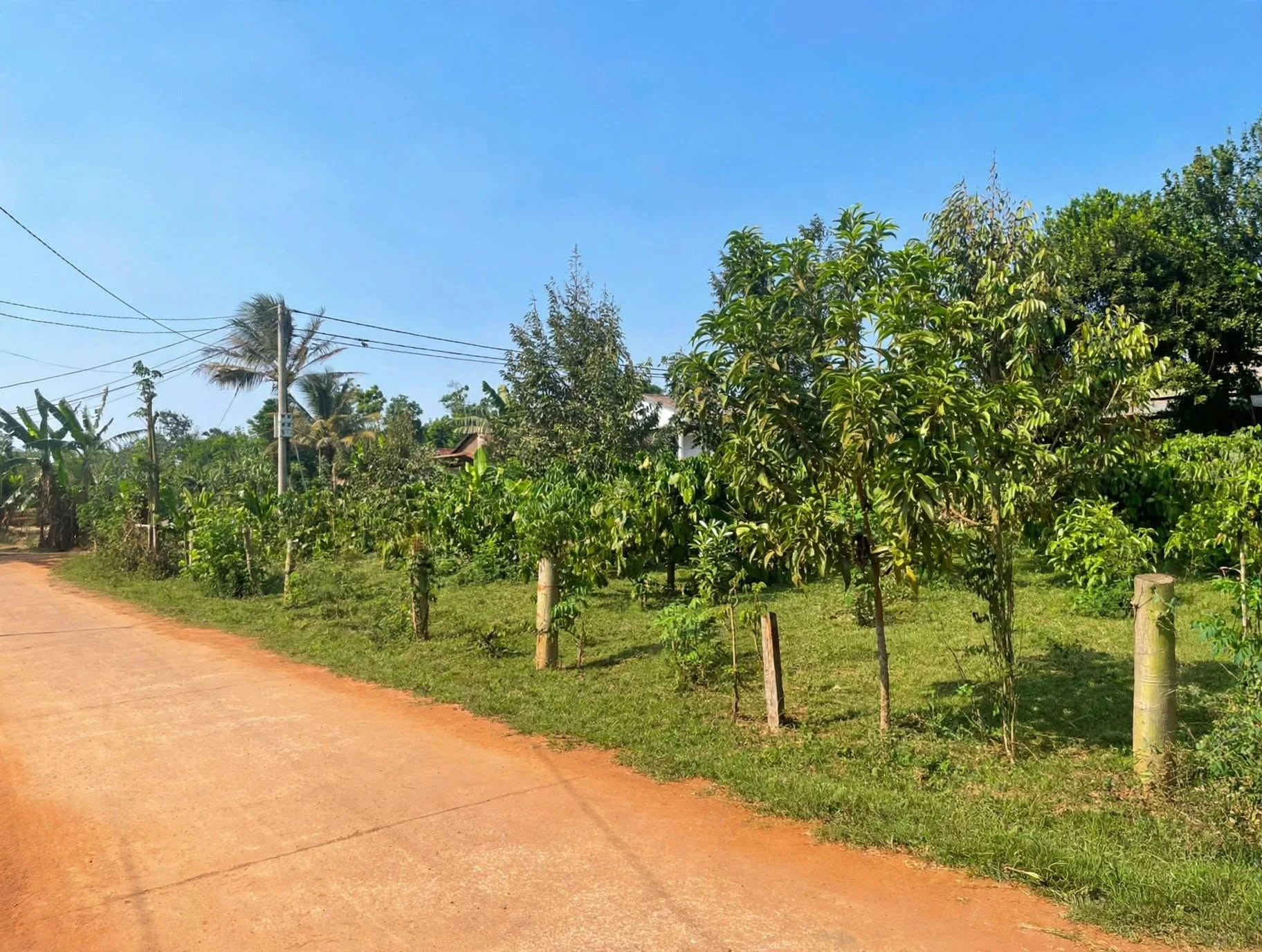 Bán đất Kroa A, Cư M'gar 120m2, đường 10m, 335 triệu - Ảnh 1