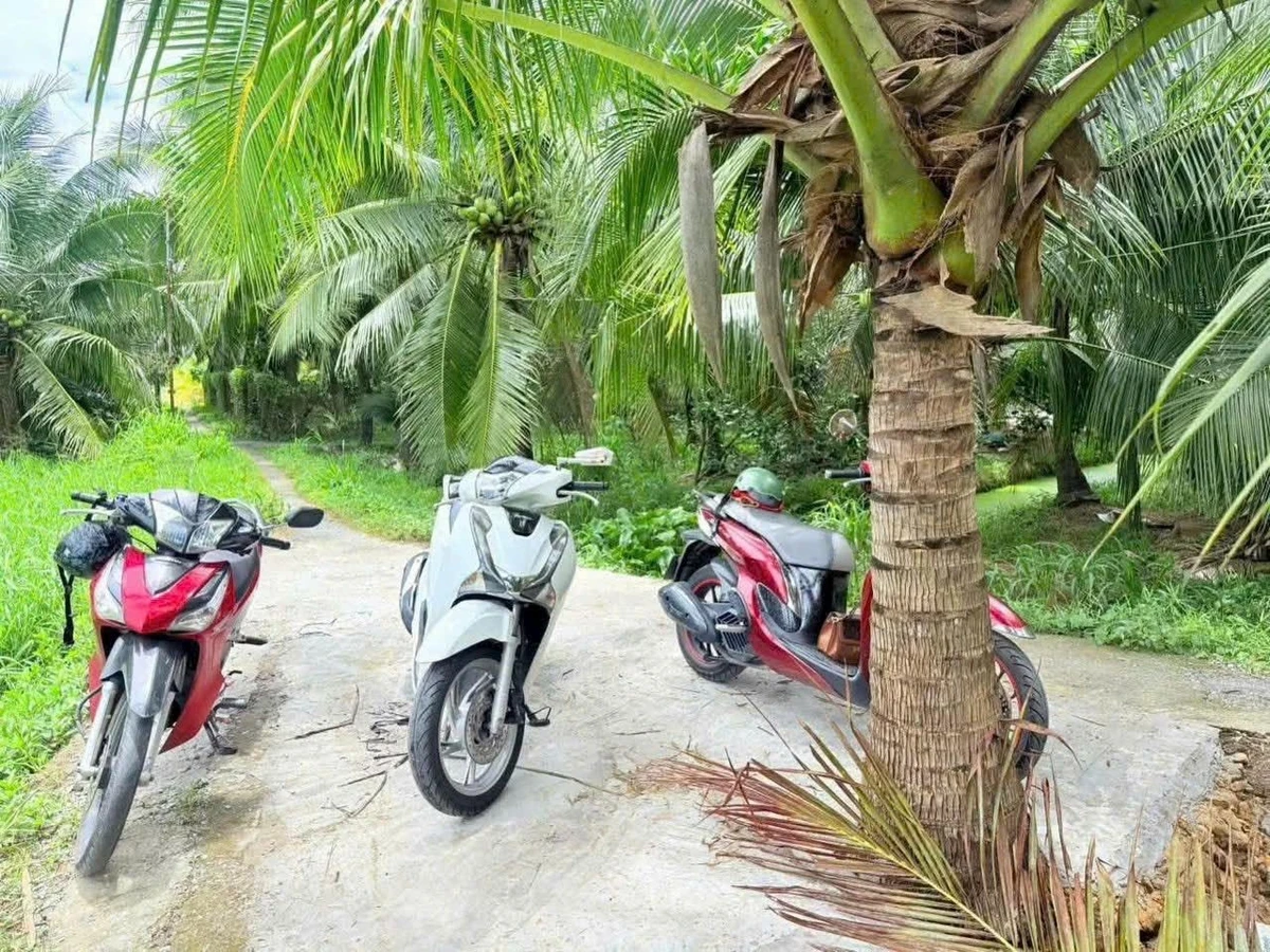 Bán đất vườn dừa Phú Khương 345,4m² giá 270 triệu - Ảnh 1