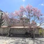 Chính chủ đầu tư mở bán khu biệt thự Đà Lạt phong cách Pháp, với tên gọi "La Cerise Dalat Villas - Ảnh thu nhỏ 36