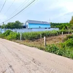 Bán đất thổ cư 5x30m hẻm Lý Nam Đế, Phước Hội, Lâm Đồng - Ảnh thu nhỏ 2