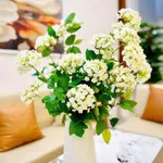 Bán nhà 3 tầng 3 phòng ngủ 38m² Tôn Đức Thắng - Ảnh thu nhỏ 4