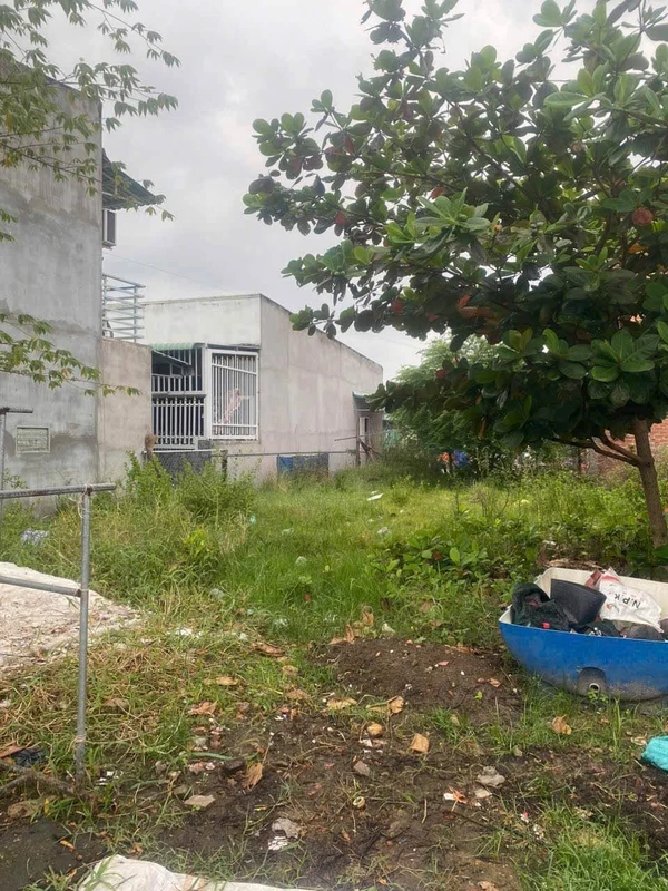 Bán lô đất 200m2 mặt tiền đường Lê Quang Đạo, Bình Thuận
