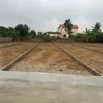 Bán đất 162m² Bắc Ninh, 1.6 tỷ, ô tô tránh nhau - Ảnh thu nhỏ 5