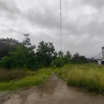 Bán đất góc view đồng lúa Mỹ Thượng, Huế – 81,7m² – 1.9 tỷ - Ảnh thu nhỏ 4