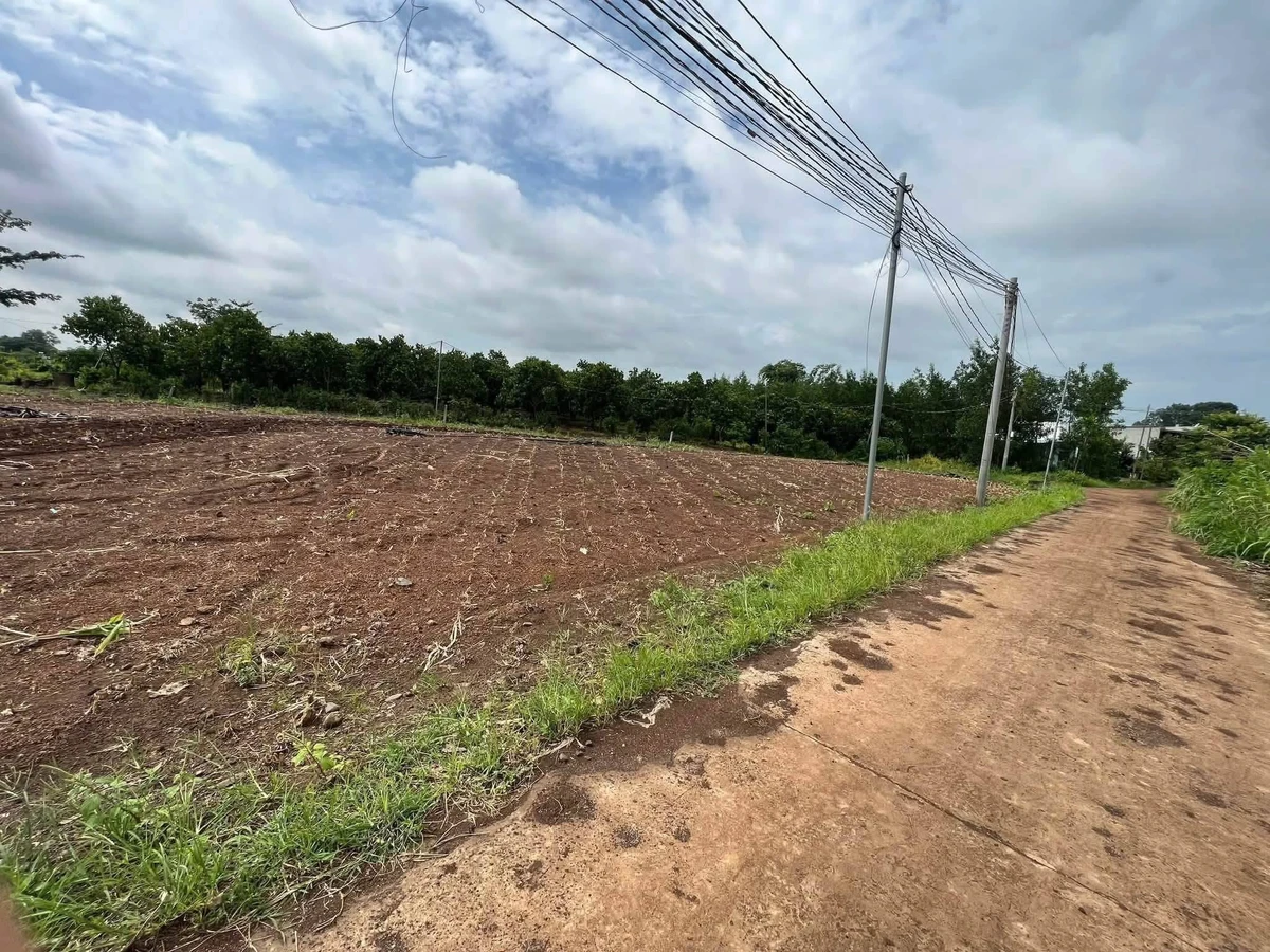 Bán đất 1000m² mặt tiền Xuân Tây Cẩm Mỹ 650 triệu - Ảnh thu nhỏ 2