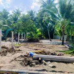Bán đất Hóc Môn 280m² gần QL 60 giá 595 triệu - Ảnh thu nhỏ 2