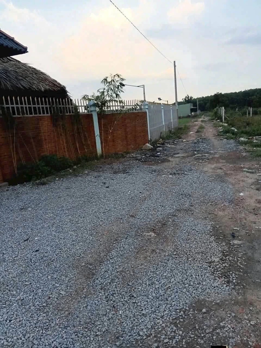 Bán lô đất vườn Phú An 1.156m2, giá 2 tỷ - Ảnh thu nhỏ 2