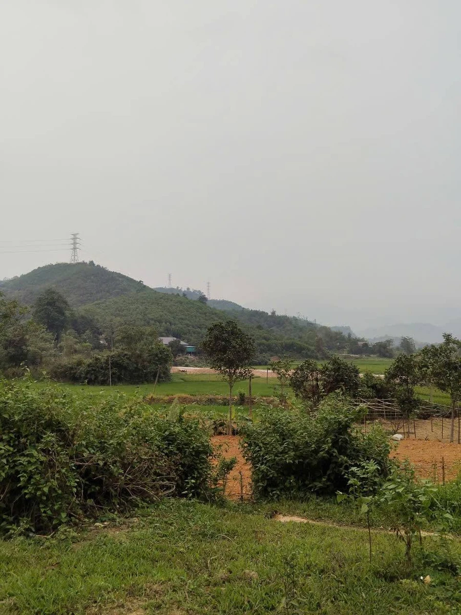 Bán đất nền 500m² Kỳ Sơn, Hòa Bình từ 2 tỷ - Ảnh thu nhỏ 5