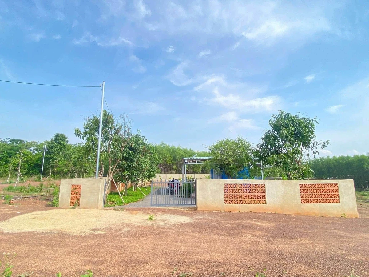 Bán đất nhà vườn 453m² Trị An, Đồng Nai giá 450 triệu - Ảnh thu nhỏ 4