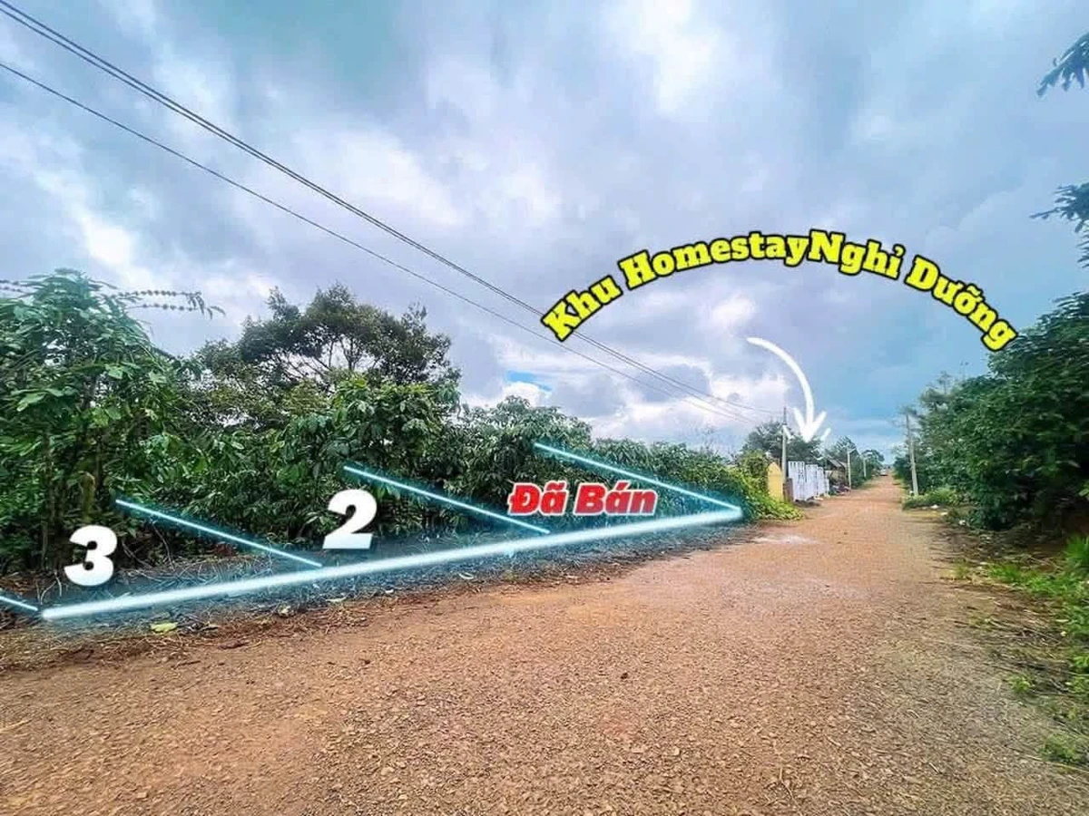 Bán đất Di Linh Lâm Đồng 75m² mặt tiền nhựa 435 triệu - Ảnh thu nhỏ 3