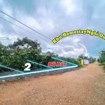 Bán đất Di Linh Lâm Đồng 75m² mặt tiền nhựa 435 triệu - Ảnh thu nhỏ 3