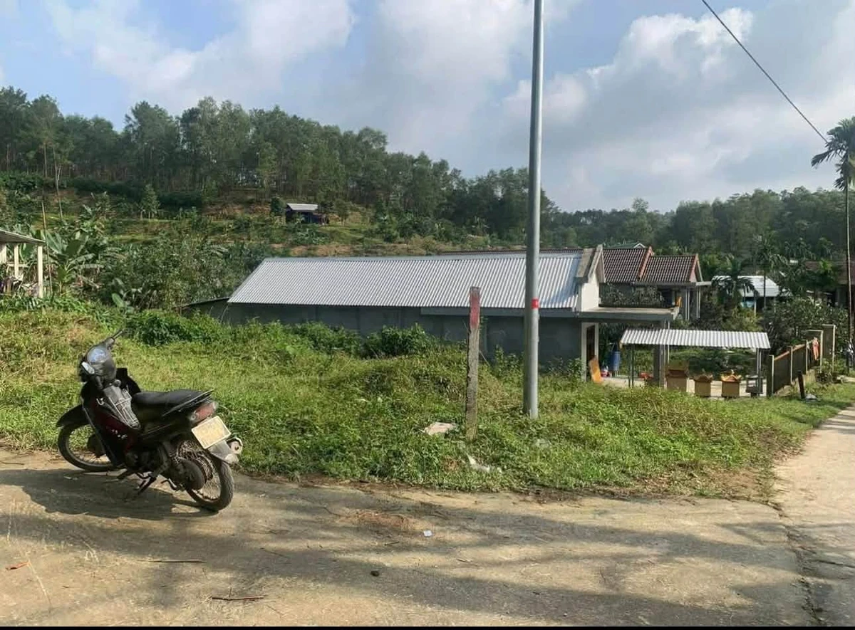 Bán đất 300m2 Tân Ba Thuỷ Bằng 900 triệu - Ảnh thu nhỏ 2