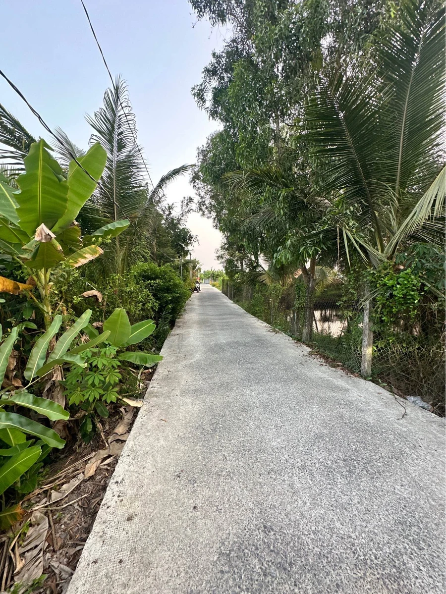 Bán đất 18 x 66.75m (1201.5m²) Phường Long An, Tân An, Long An - Ảnh 1