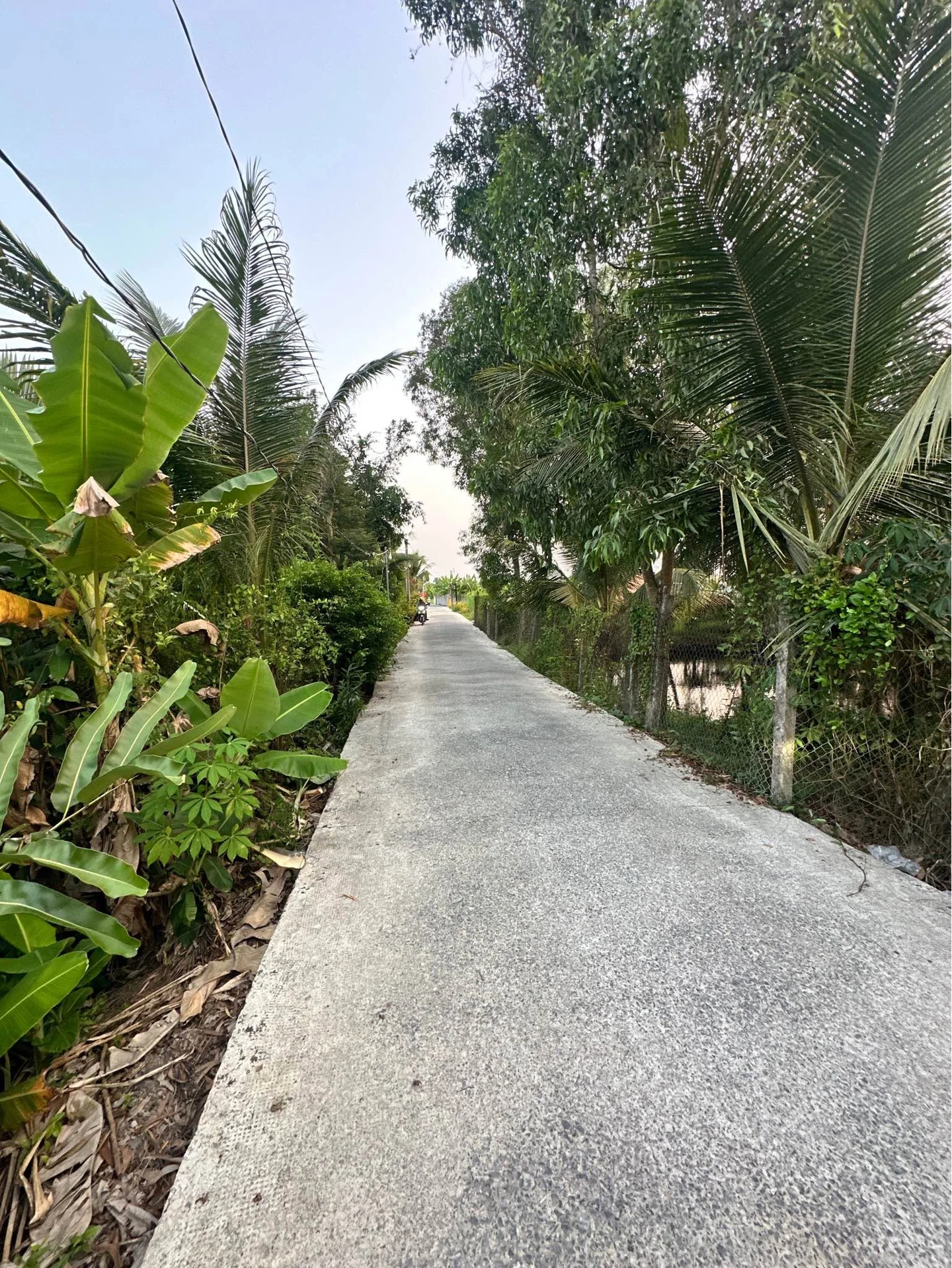 Bán đất 18 x 66.75m (1201.5m²) Phường Long An, Tân An, Long An - Ảnh 1