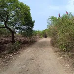 Bán đất nông nghiệp 2300m² mặt tiền 90m tại Xã Phú Hòa, Đồng Nai - Ảnh thu nhỏ 3