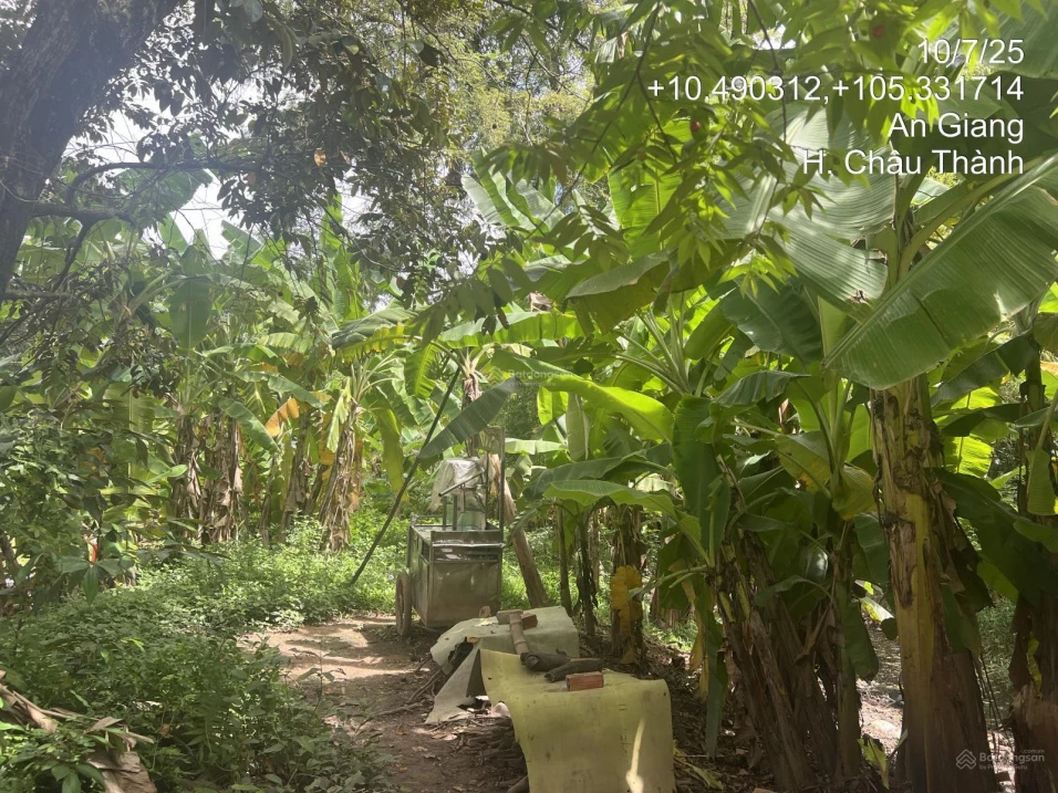 Chính chủ bán lô đất 606.4m2 full thổ tại An Hoà, Châu Thành, An Giang chưa đến 1.118 tỷ - Ảnh thu nhỏ 5